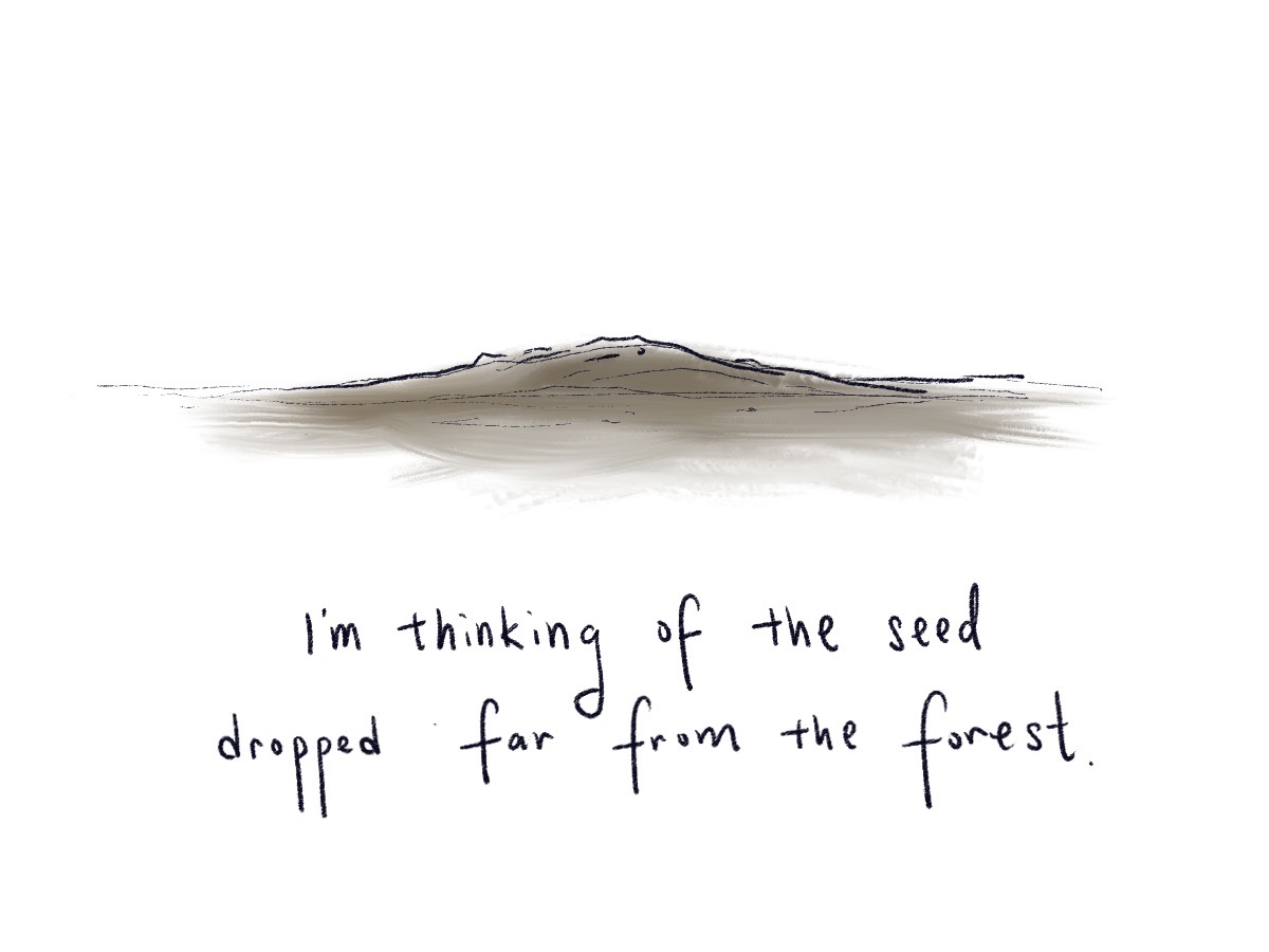illustration of a pile of dirt. i'm thinking of the seed dropped far from the forest.