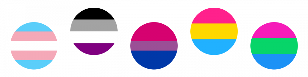 five circle pride flags including transgender, asexual, bisexual, pansexual, and polysexual
