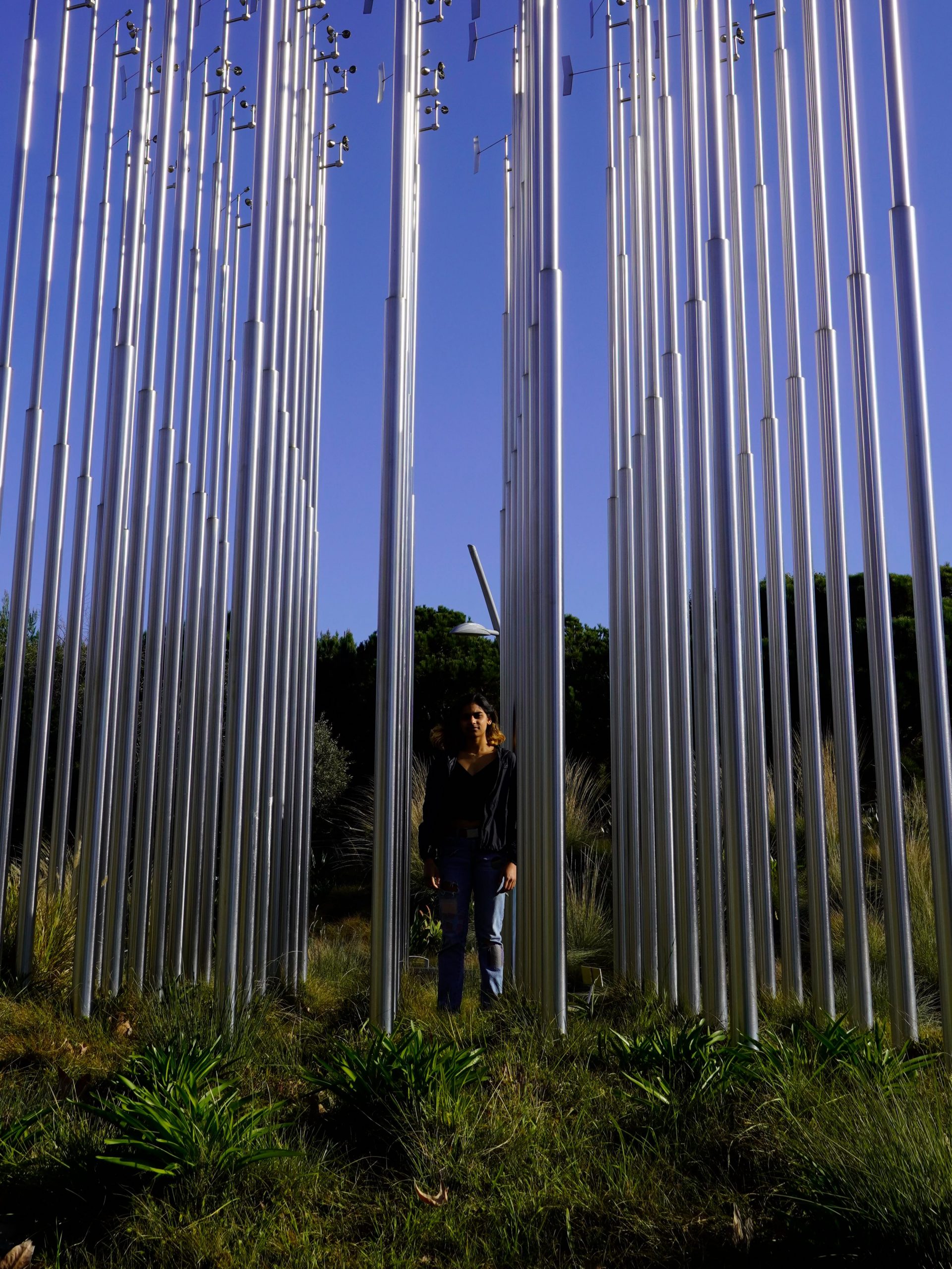 photo of Shilpa Rao, a brown woman standing in a forest of metal spikes