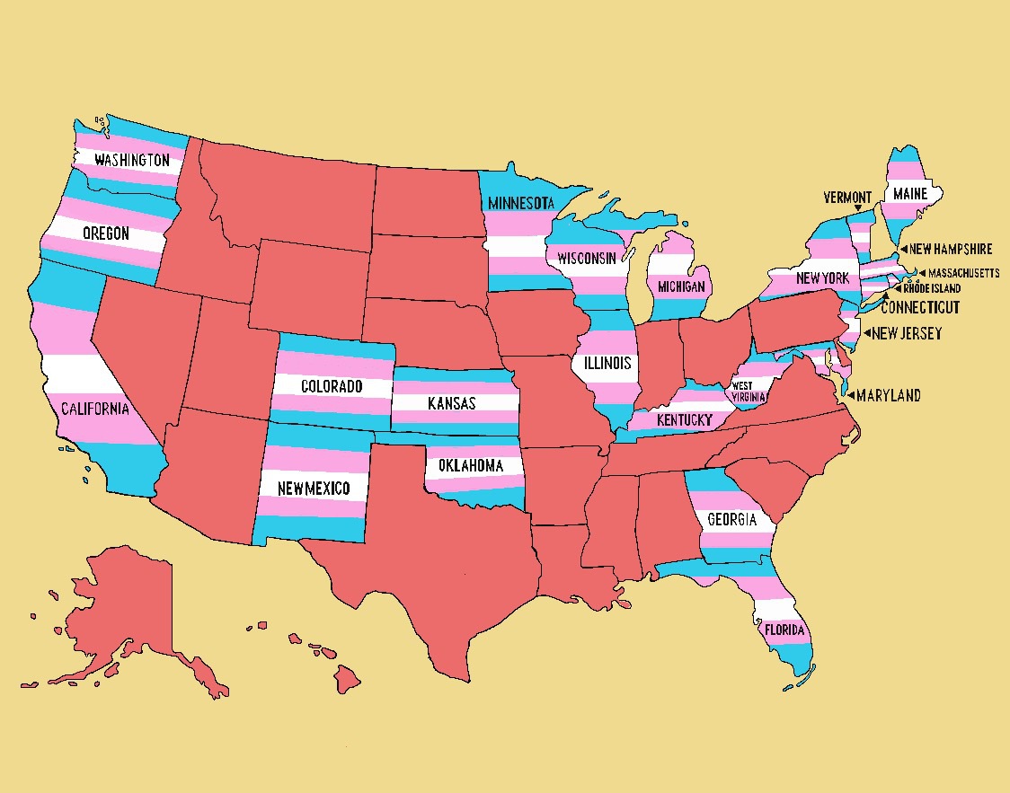 map of the US with states that passed pro trans legislation labeled with the trans flag