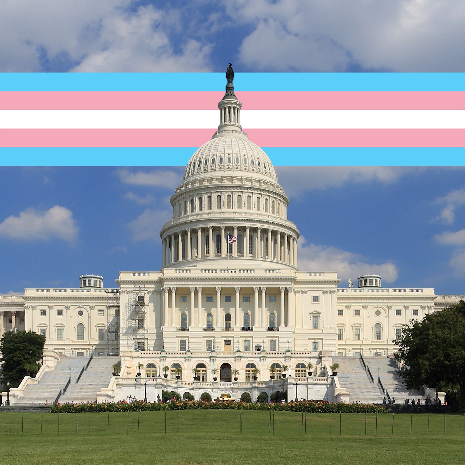 photo of the US Capitol building with the trans flag in the background