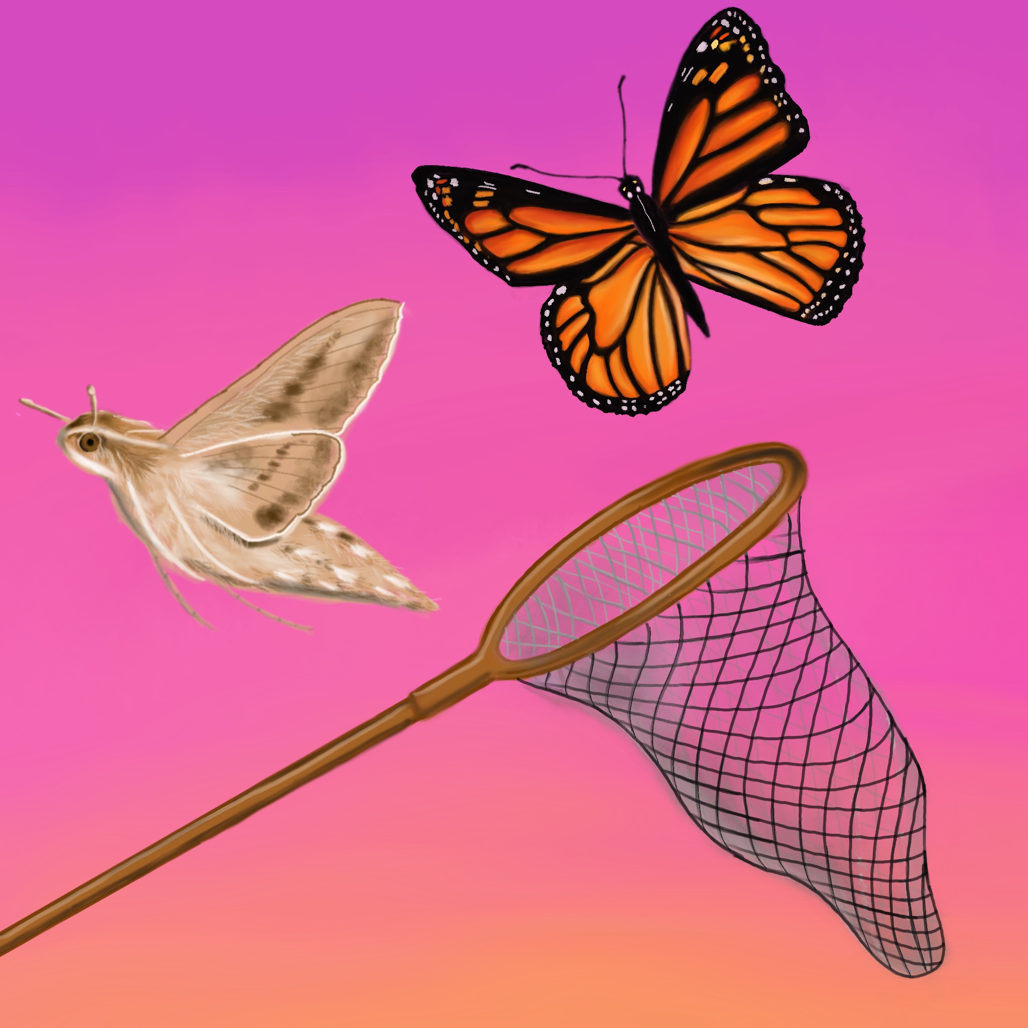 an illustration of a moth and butterfly dodging a net