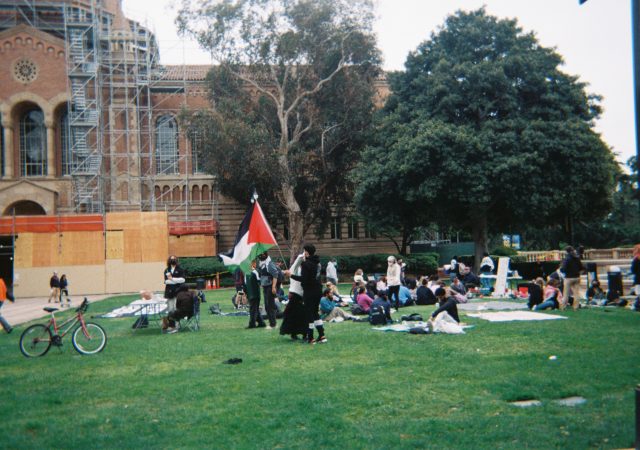 A scattered group of pro-Palestine protestors linger in front of Powell Library on a foggy day. One waves a large Palestinian flag.