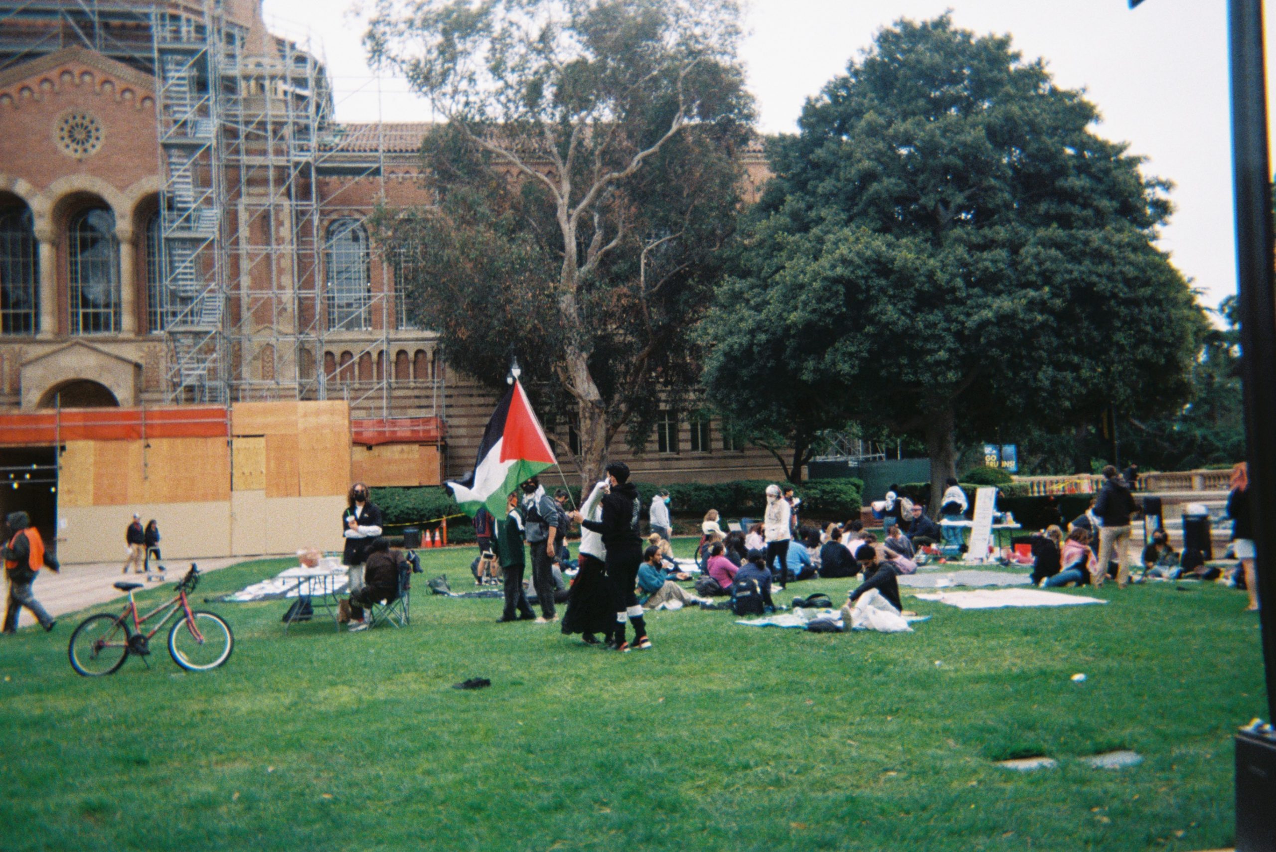 A scattered group of pro-Palestine protestors linger in front of Powell Library on a foggy day. One waves a large Palestinian flag.