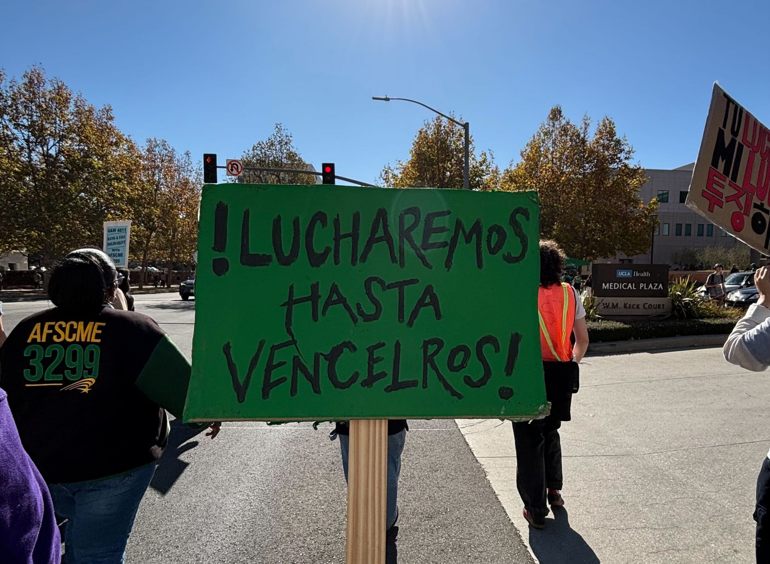 A green sign being held in a march. It reads "!Lucharemos Hasta Vecelros!"