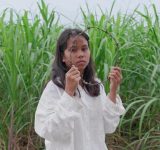 A photo of a solemn Filipina girl holding up a barbed wire circle. She is in a field of sugarcane.
