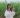 A photo of a solemn Filipina girl holding up a barbed wire circle. She is in a field of sugarcane.